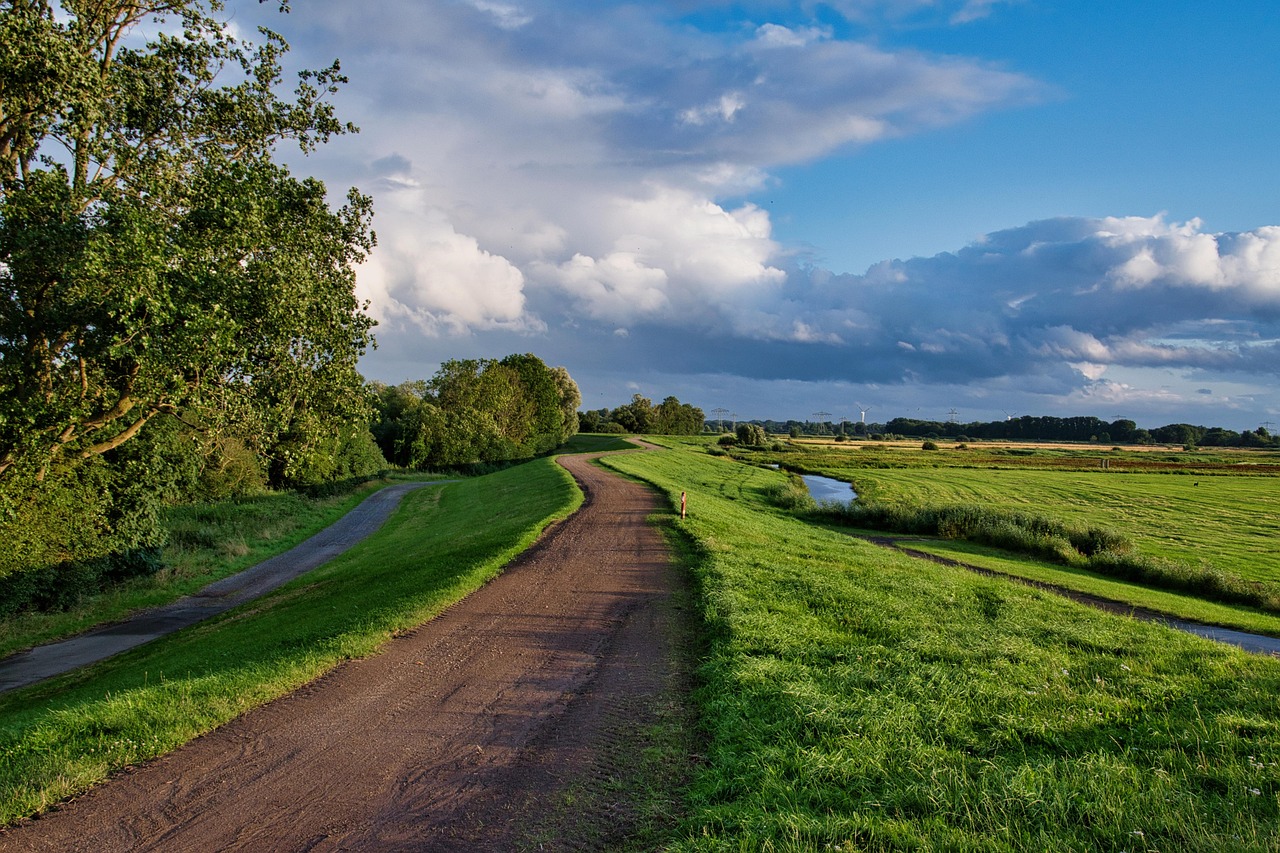 Path Grass Dike wallpaper