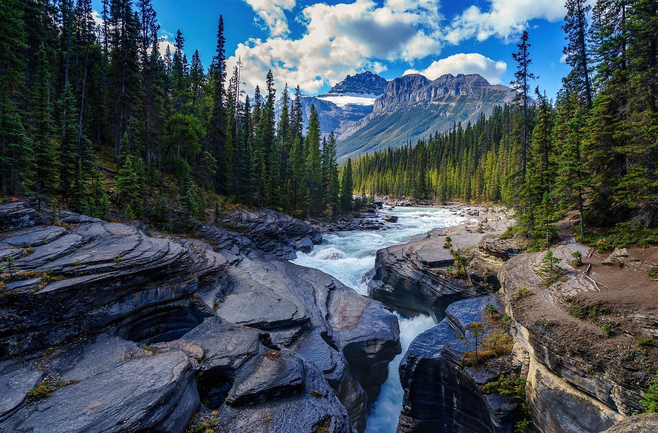 River Rocks Trees wallpaper