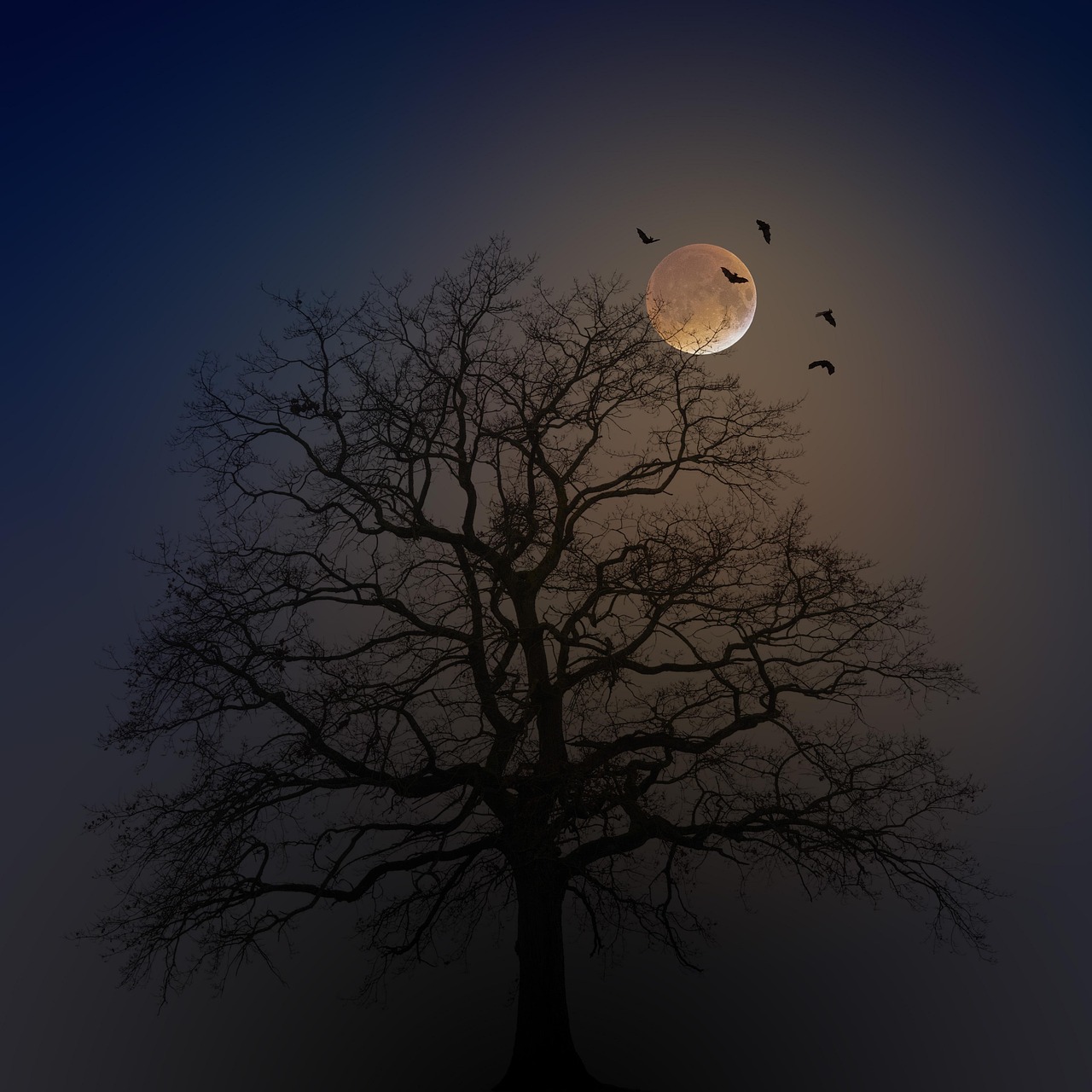 Halloween Tree Silhouette wallpaper