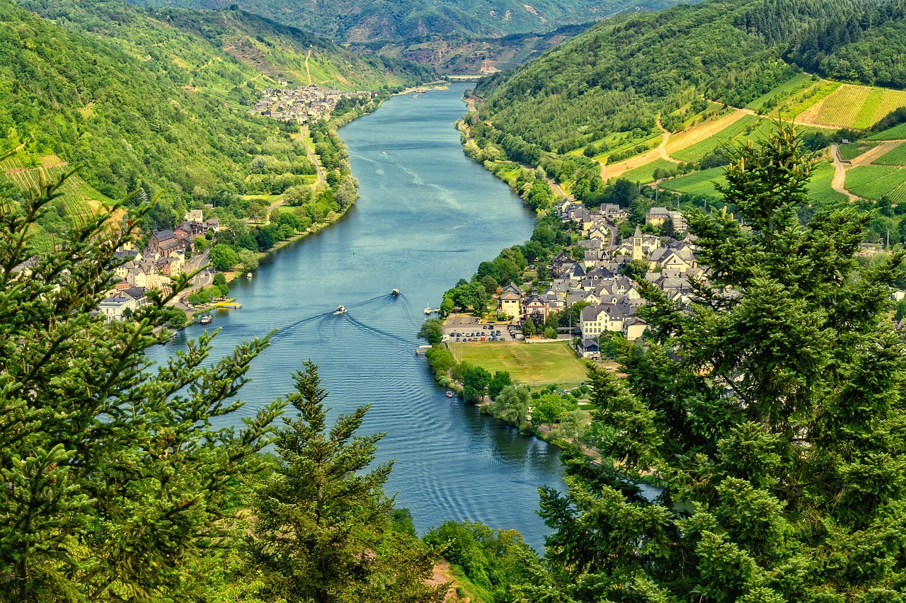 River Nature Mosel wallpaper
