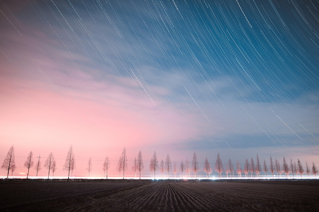 Trees Dusk Outdoors wallpaper