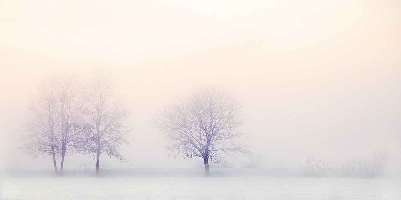 Winter Landscape Trees Snow wallpaper