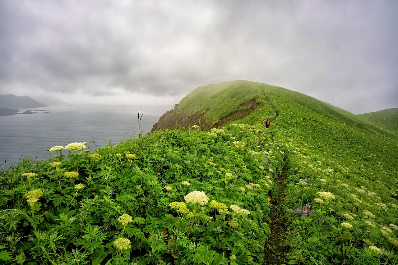 Cape Pasture Sea wallpaper