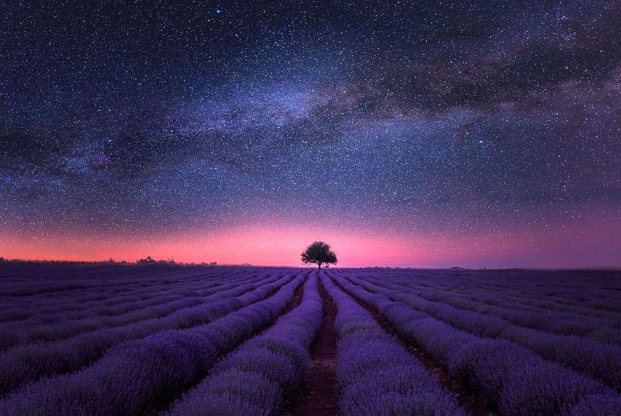 Fields Night Stars wallpaper