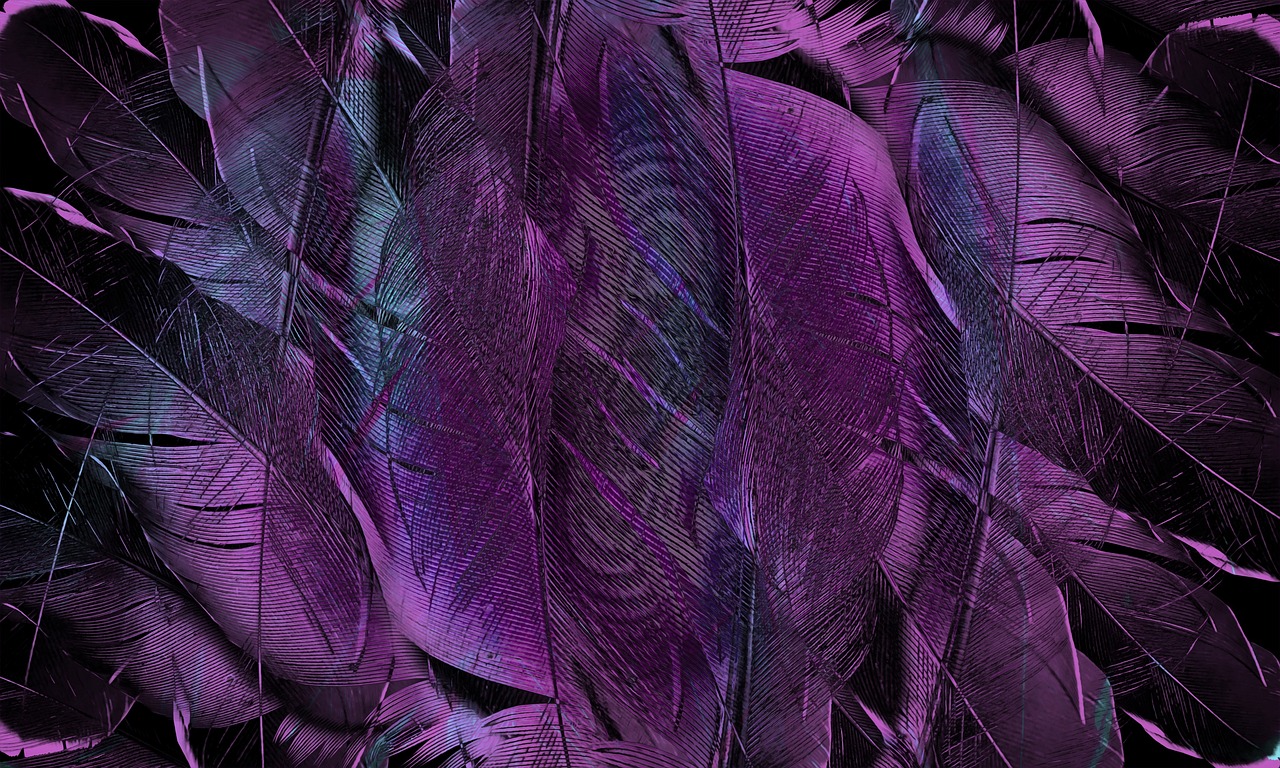 Feather Pattern Texture wallpaper