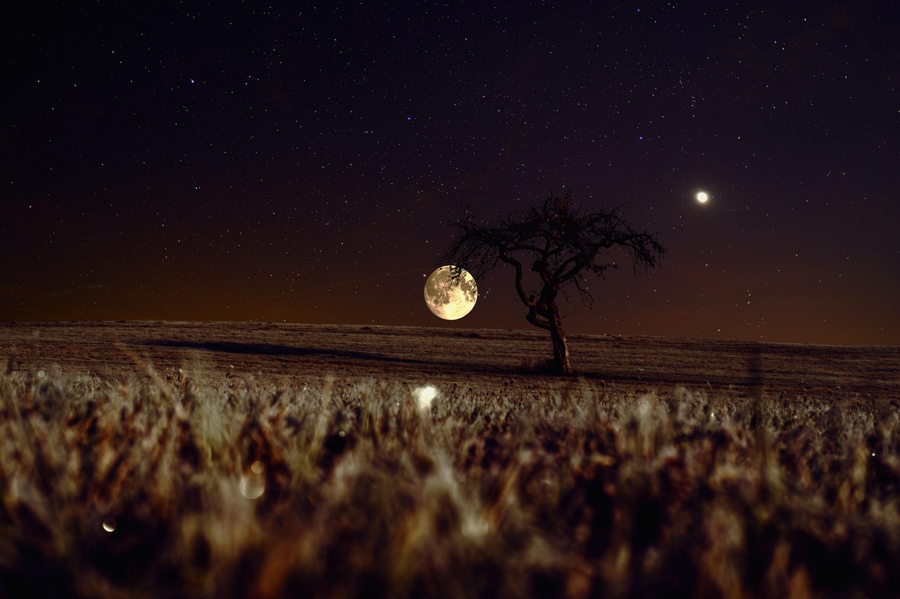 Sky Moon Night wallpaper
