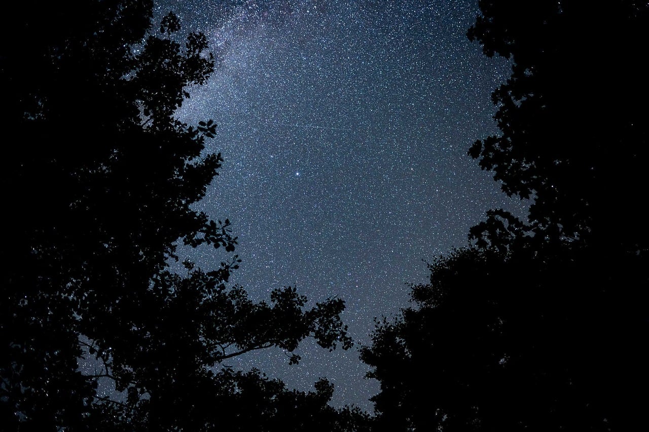 Starry Sky Stars Night Sky wallpaper